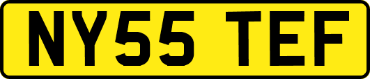 NY55TEF