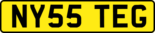 NY55TEG