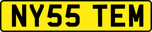 NY55TEM