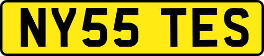 NY55TES