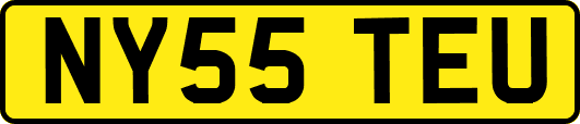 NY55TEU