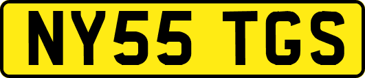 NY55TGS