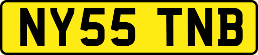 NY55TNB