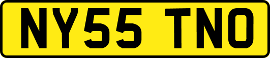 NY55TNO