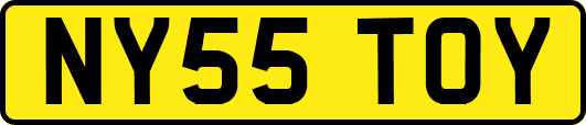 NY55TOY