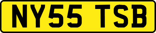 NY55TSB
