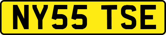 NY55TSE
