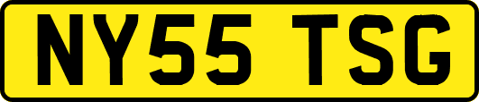 NY55TSG
