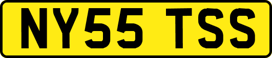 NY55TSS