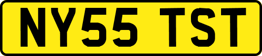 NY55TST