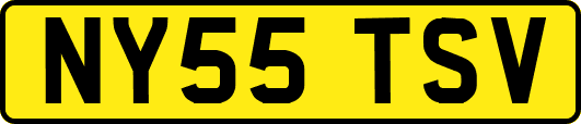 NY55TSV