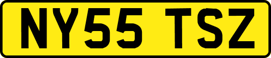NY55TSZ