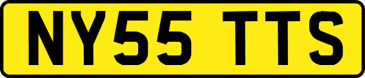 NY55TTS