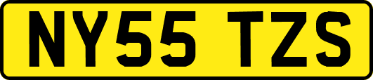 NY55TZS