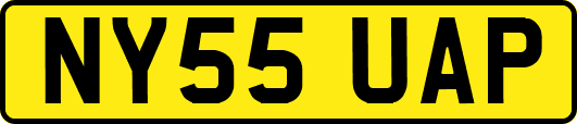 NY55UAP