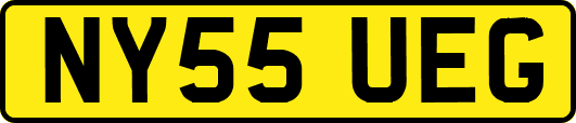 NY55UEG