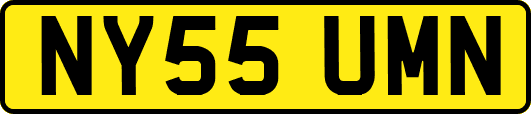 NY55UMN