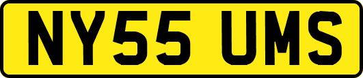 NY55UMS