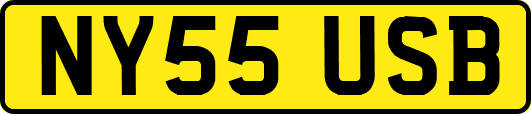 NY55USB