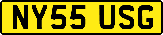 NY55USG
