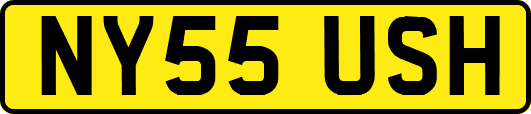 NY55USH