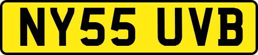 NY55UVB