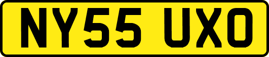 NY55UXO
