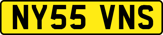 NY55VNS