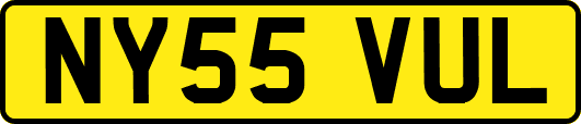 NY55VUL