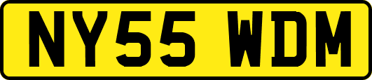 NY55WDM