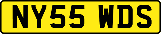 NY55WDS