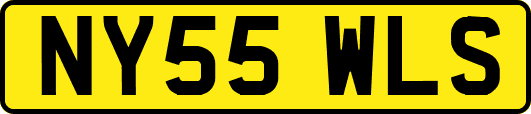 NY55WLS