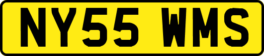 NY55WMS