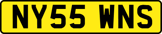 NY55WNS