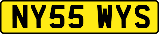 NY55WYS