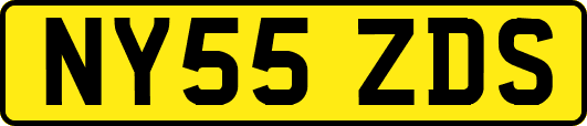 NY55ZDS