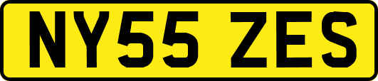 NY55ZES