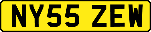 NY55ZEW