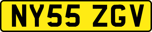 NY55ZGV