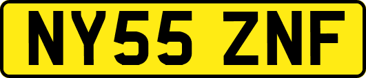 NY55ZNF