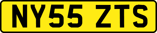 NY55ZTS