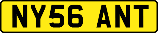 NY56ANT
