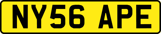 NY56APE