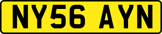 NY56AYN
