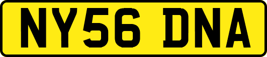 NY56DNA