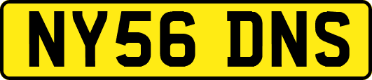 NY56DNS
