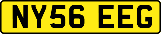 NY56EEG