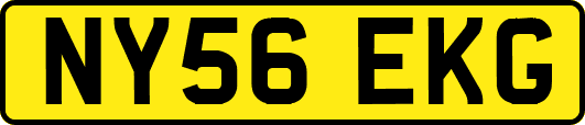 NY56EKG