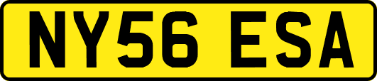 NY56ESA