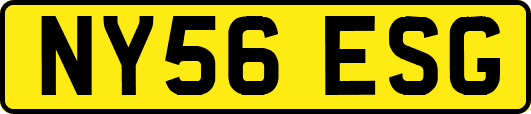 NY56ESG